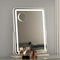 LED Makeup Mirror Vanity Mirror with Lights Touch Control 40x50cm