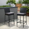 2 Piece Outdoor PE Wicker Bar Stool Set with Cushions Black