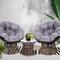 3 Piece Papasan Chair Set PE Wicker Outdoor Lounge with Table
