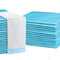 Pet Training Pads 200pcs 60x60cm Puppy Dog Toilet Pee Indoor Super Absorbent Blue