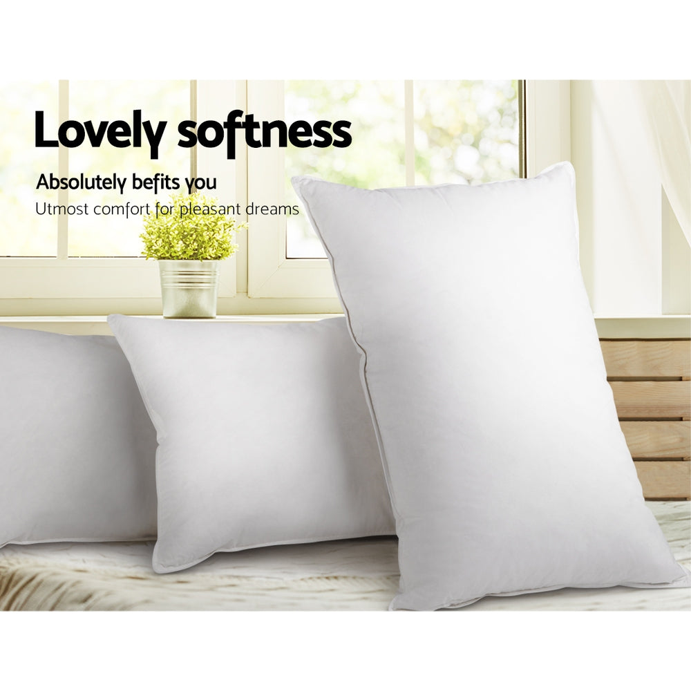 Duck Feather Down Pillow Twin Pack