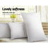 Duck Feather Down Pillow Twin Pack