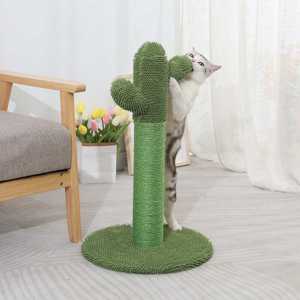 Cactus Cat Scratching Posts Pole Tree Kitten Climbing Scratcher Furniture Toys