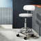 Adjustable Salon Stool Chair with Backrest PU Leather Hydraulic White