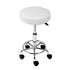 Salon Stool Round Swivel Chair White