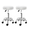 2x Salon Stool Round Swivel Chair White