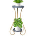 Plant Stand 2 Tiers Outdoor Indoor Metal Flower Pots Rack Garden Shelf