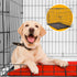 4Paws Dog Cage Pet Crate Cat Puppy Metal Cage ABS Tray Foldable Portable Black - 30" - Black