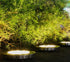 8 Pack LED Solar Pathway Lights Outdoor Solar Ground Lights Warm White