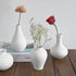 Ceramic Set of 5 White Vases for Home Dï¿½cor