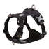 Lightweight Harness Black M