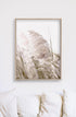 Wall Art 60cmx90cm Pampas Grass 2 Sets Wood Frame Canvas