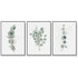 Wall Art 80cmx120cm Eucalyptus Plant 3 Sets Black Frame Canvas