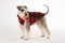 Red Check Dog Pyjamas 45cm