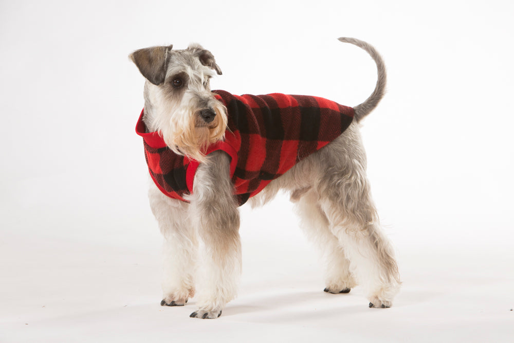 Red Check Dog Pyjamas 70cm