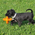 Octopus Retrieval Ball - Large - Fetch Toy