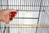 160 cm Large Bird Cage Parrot Aviary Pet Stand-alone Budgie Cage