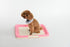 Large Portable Dog Potty Training Tray Pet Puppy Toilet Trays Loo Pad Mat Pink