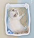 Large Deep Cat Kitty Litter Tray High Wall Pet Toilet Tray With Scoop Blue