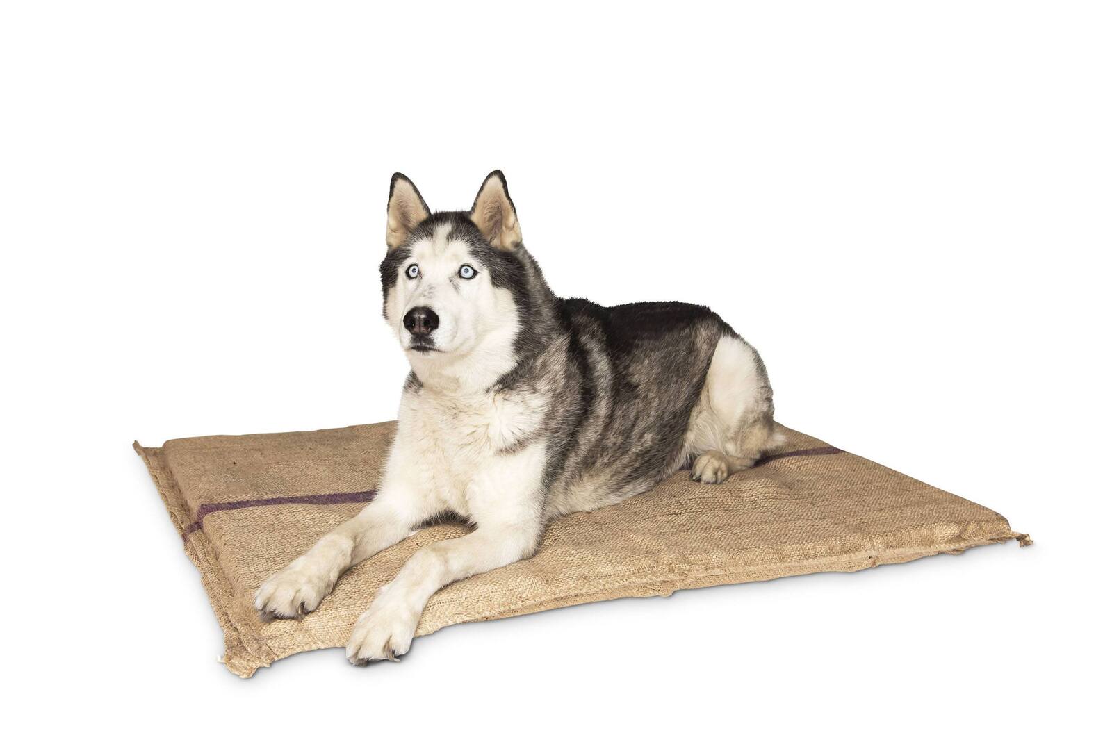 Jumbo Hessian Pet Dog Puppy Bed Mat Pad House Kennel Cushion With Foam 110 x 78Â cm