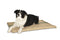 Large Hessian Pet Dog Puppy Bed Mat Pad House Kennel Cushion With FoamÂ 100 x 69 cm