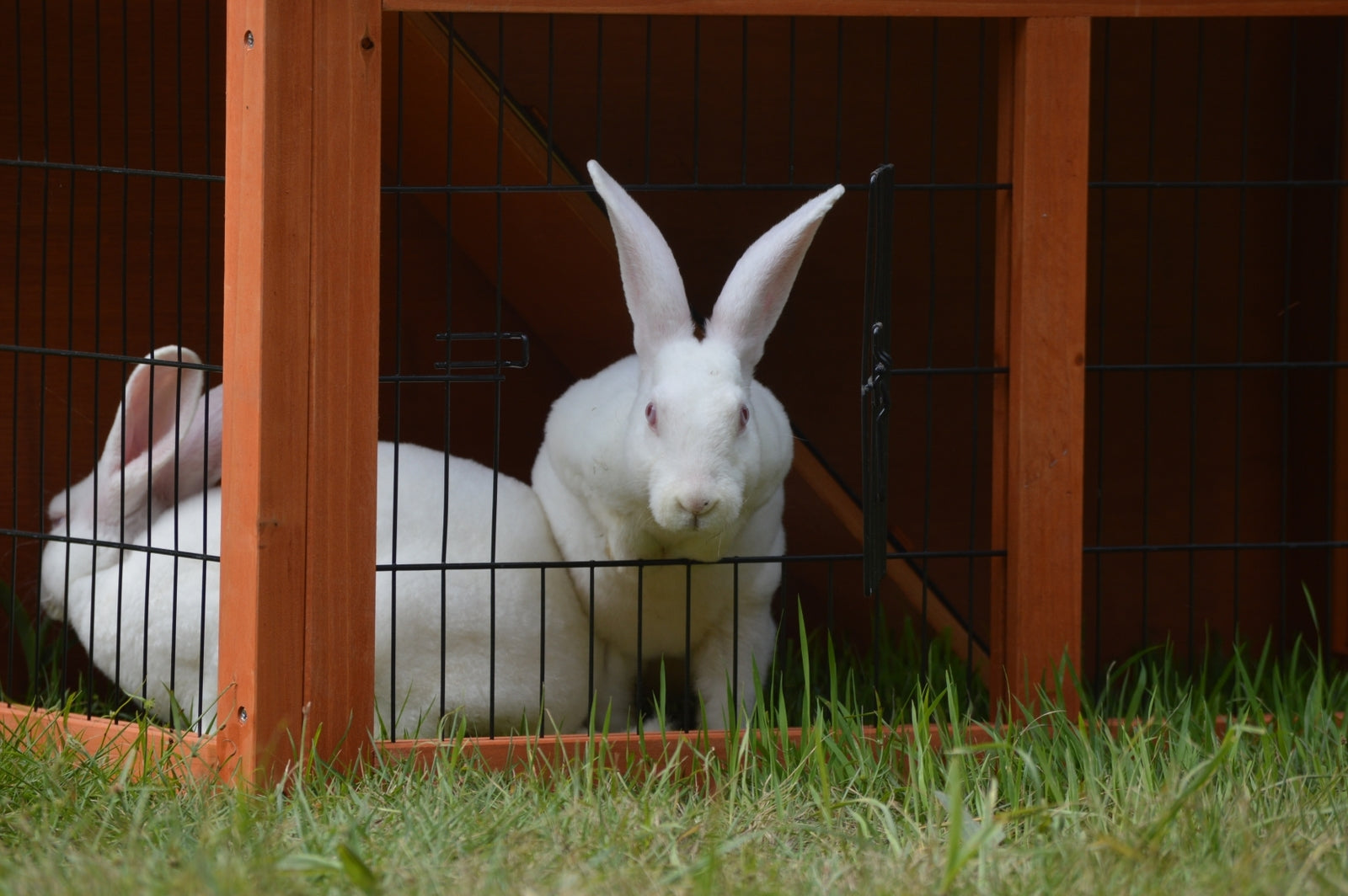 YES4PETS Double Storey Rabbit Hutch Guinea Pig Cage , Ferret cage W Pull Out Tray