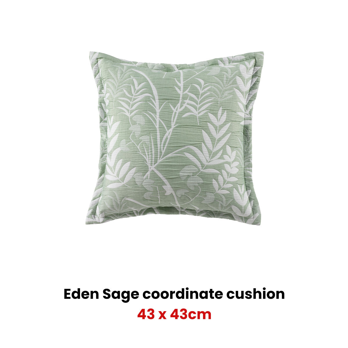 Bianca Eden Sage Coordinate Square Filled Cushion