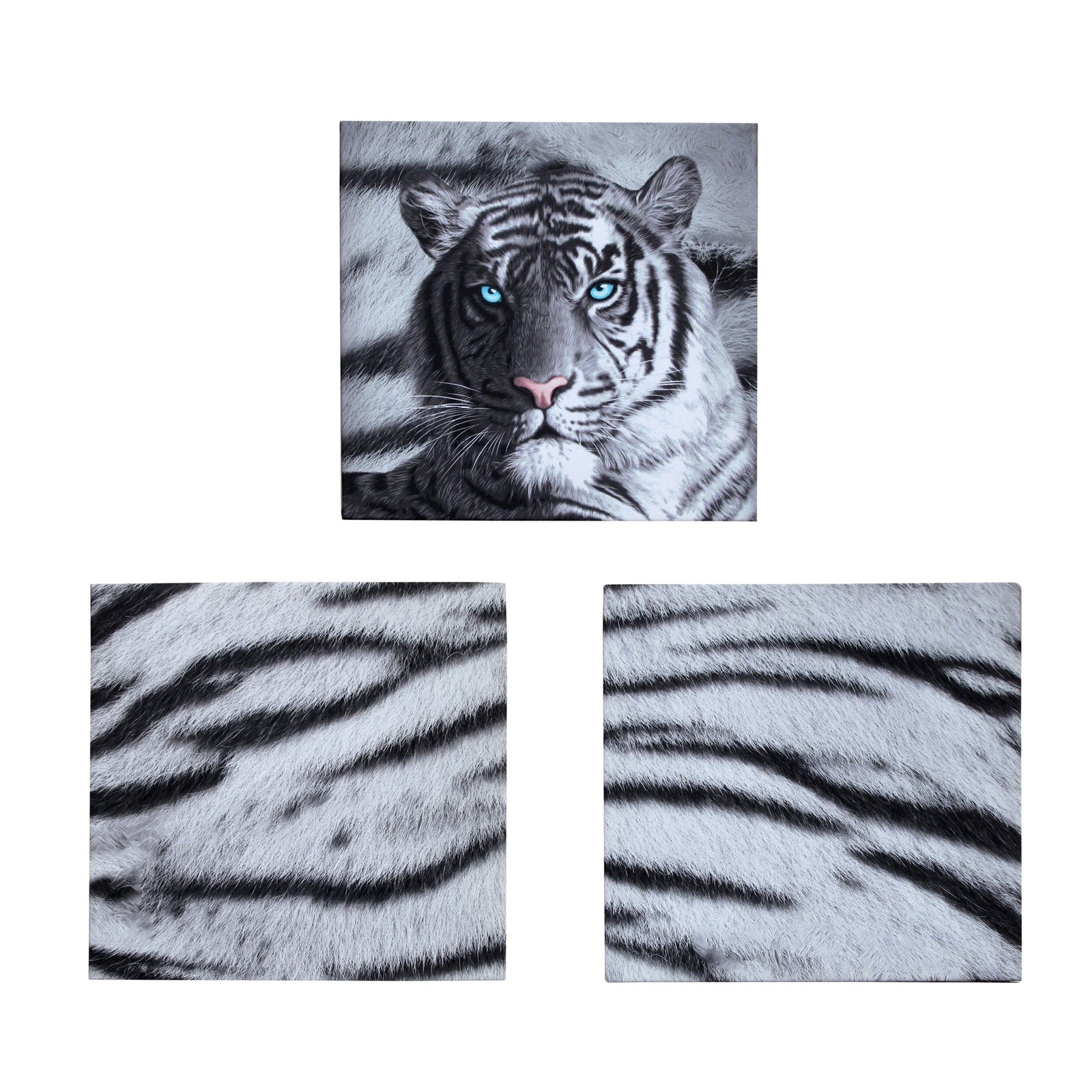 Set of 3 Printed Blue Eyes Stripes Tiger Wall Canvas