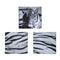 Set of 3 Printed Blue Eyes Stripes Tiger Wall Canvas