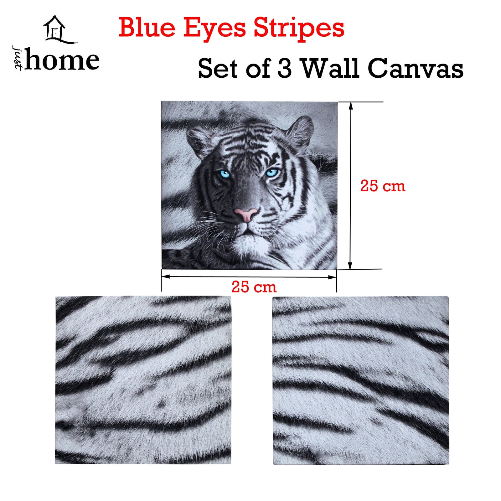 Set of 3 Printed Blue Eyes Stripes Tiger Wall Canvas