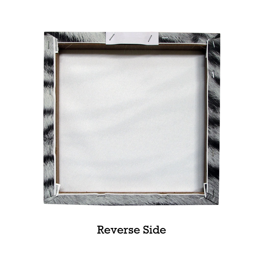 Set of 3 Printed Blue Eyes Stripes Tiger Wall Canvas