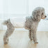 Pet Disposable Diapers Dog Puppy Nappy Hygienic Male Female Wraps Toilet Trainer