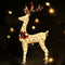 Warm White LED Christmas Lights 100 LED 3D Outdoor Indoor Decorative Lights