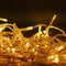 100M Christmas Lights String Fairy Light 500 LED Warm White Jingle Jollys