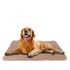 2 Pcs 120x120 cm Reusable Waterproof Pet Puppy Toilet Training Pads