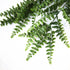 UV Resistant Dense Hanging Fern 90cm