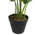 Artificial Potted Taro Plant / Elephant Ear 55cm