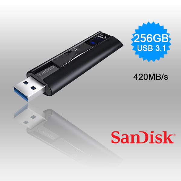 SanDisk 256GB Extreme PRO USB 3.2 Solid State Flash Drive (SDCZ880-256G)