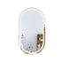 LED Wall Mirror Oval Anti-fog Bathroom Mirrors Makeup Light 50x90cm