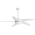 Ceiling Fan 52'' DC Motor Wood Blades LED Light Remote Control 5 Speed