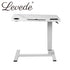 Standing Desk Height Adjustable Sit Stand Office Computer Table Shelf USB