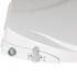 Non Electric Bidet Toilet Seat Dual Nozzles Cover Bathroom Spray Water Wash